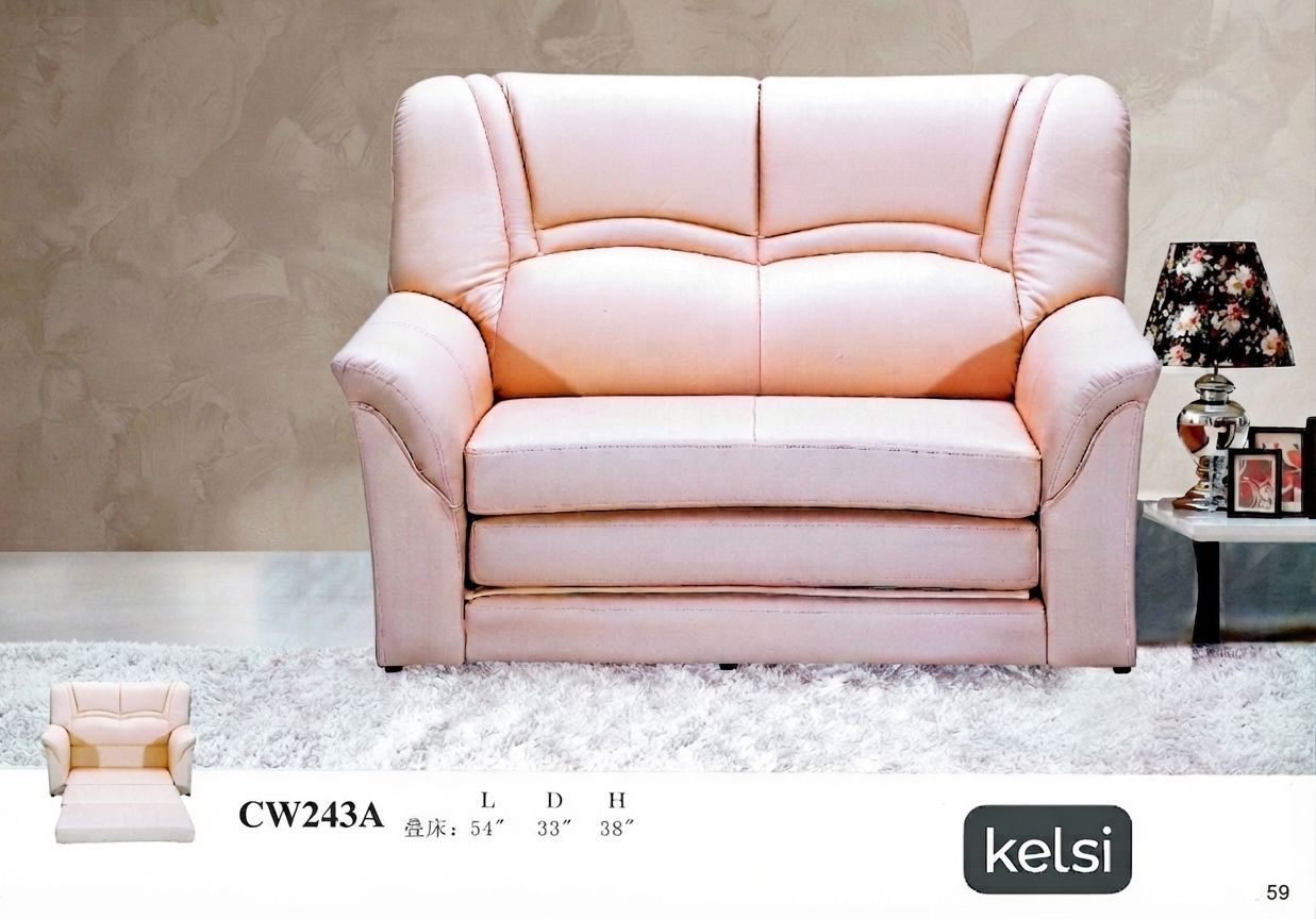 C19-CW243A
