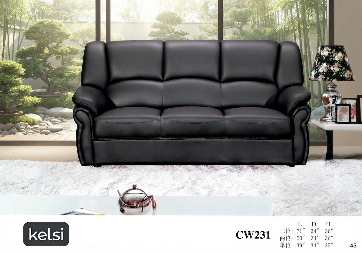 C19-CW231