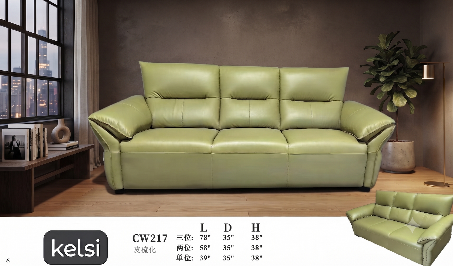 C19-CW217