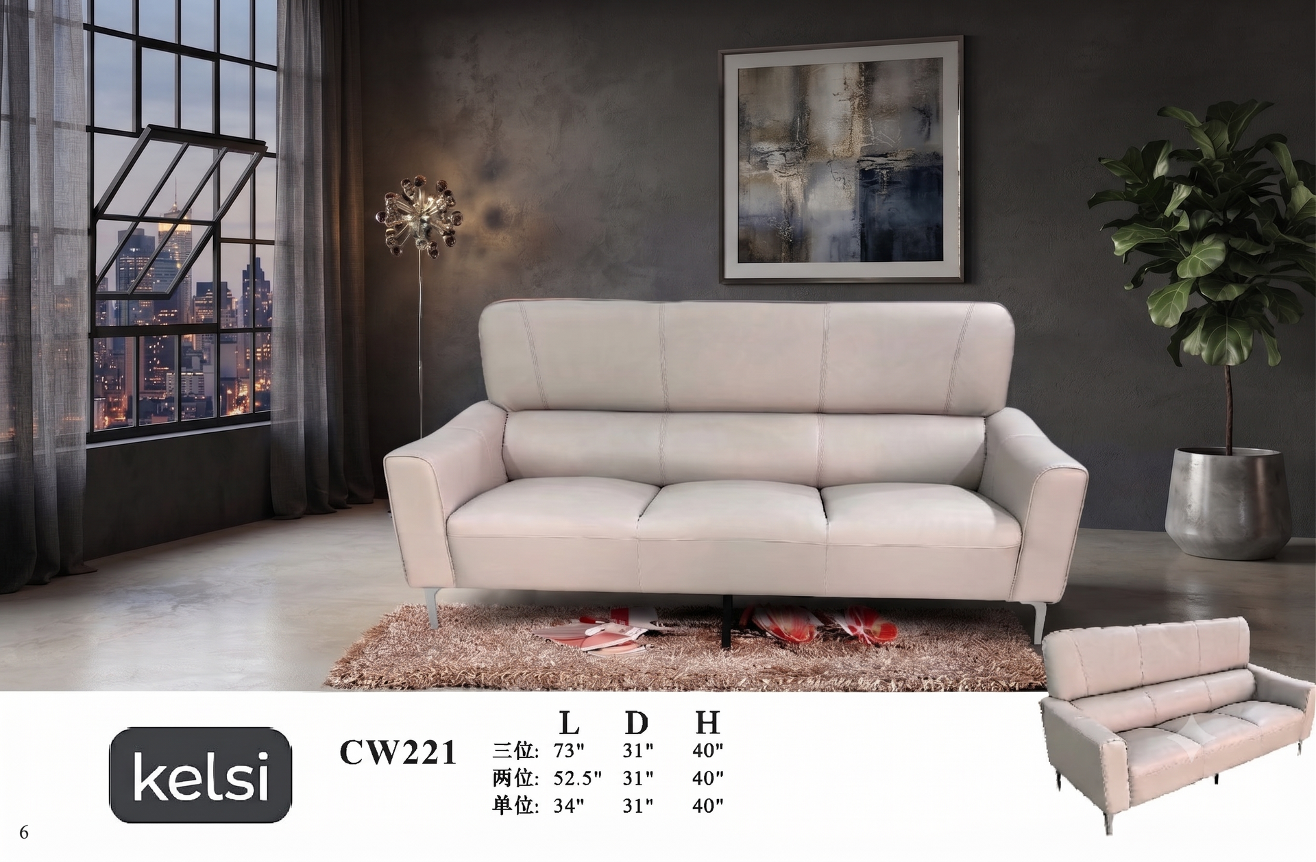 C19-CW221