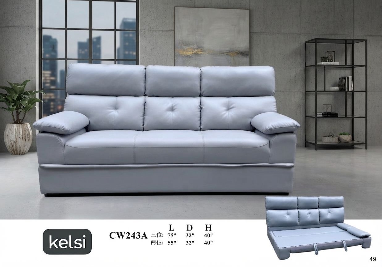 C19-CW234A