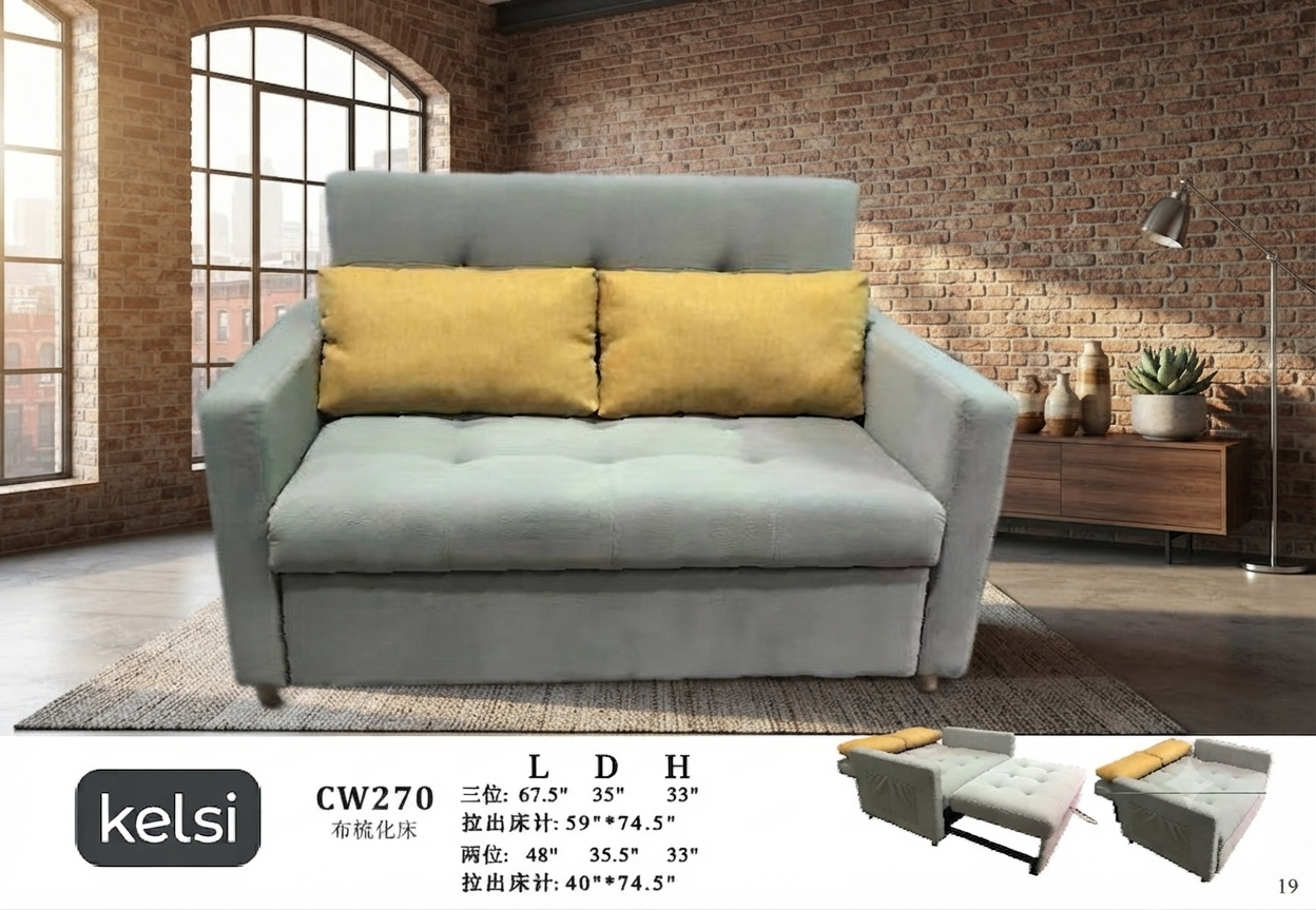 C19-CW270