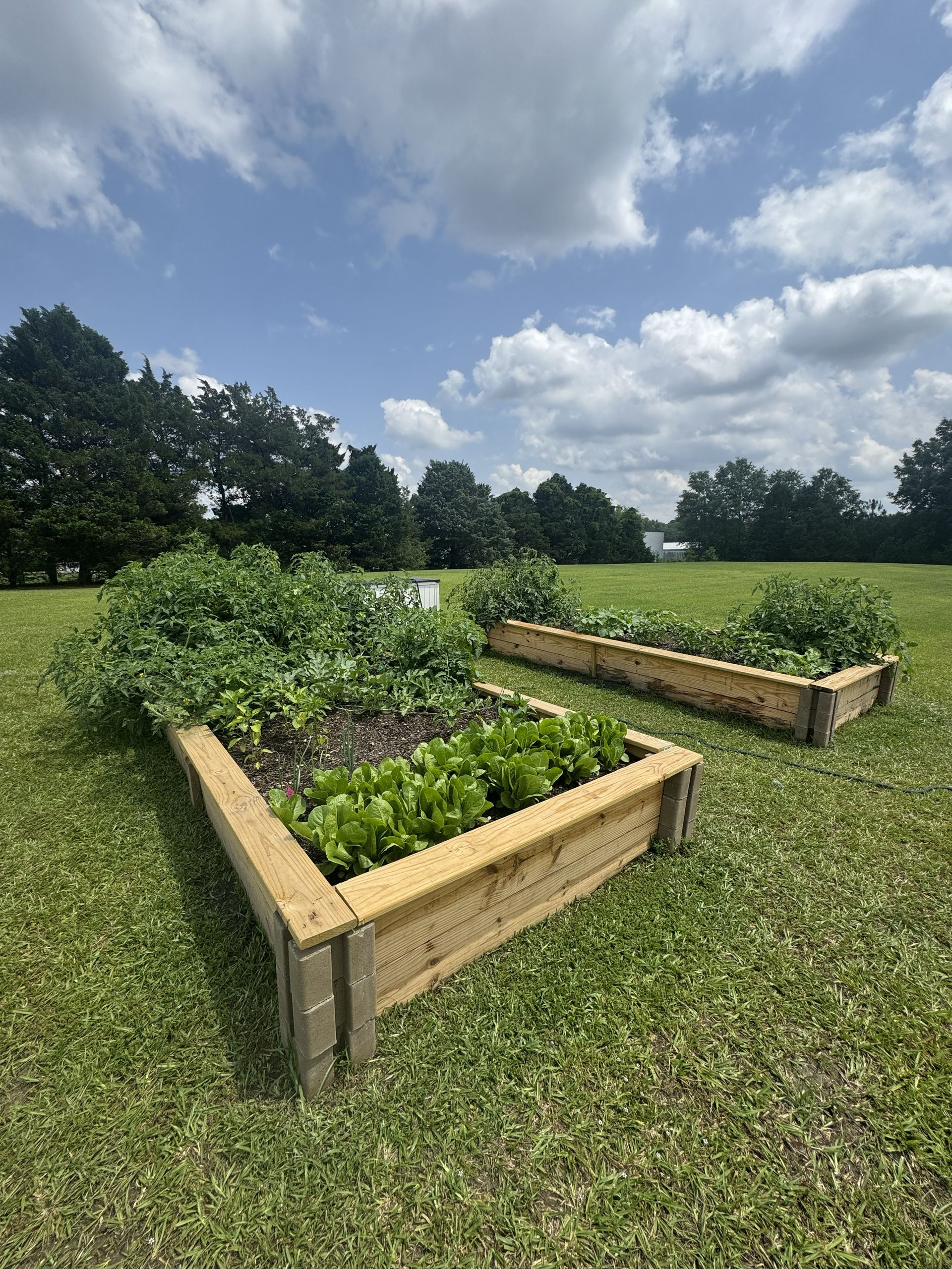 Meridian Park community garden