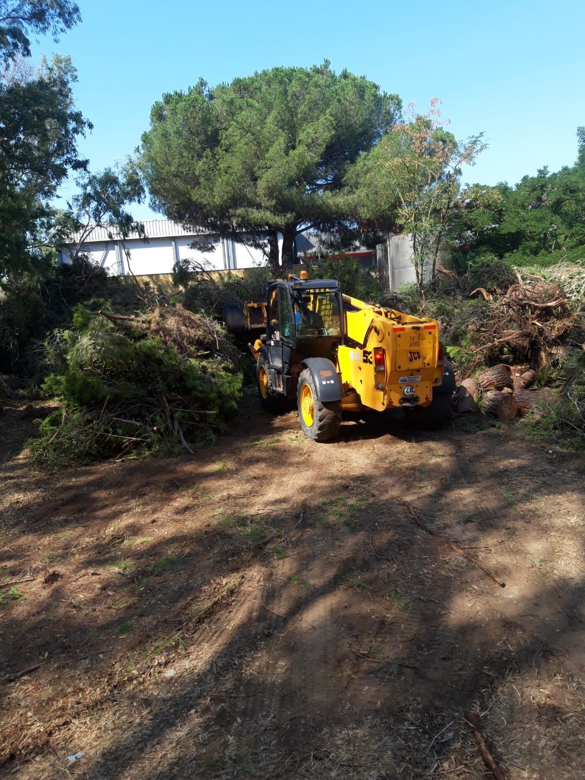 BONIFICA AMBIENTALE