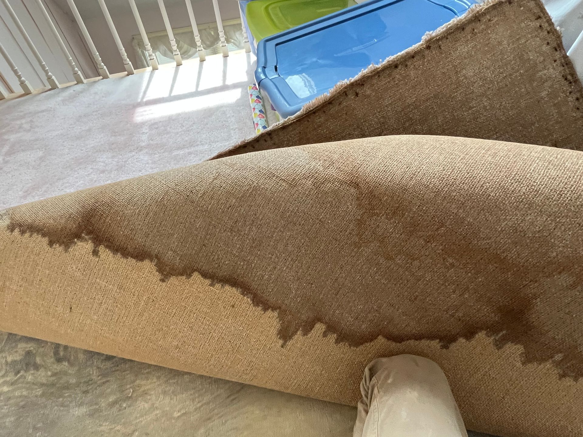 Rolled-up beige carpet with a dark stain. A white foot is visible. Blue and green plastic bins are in the background.