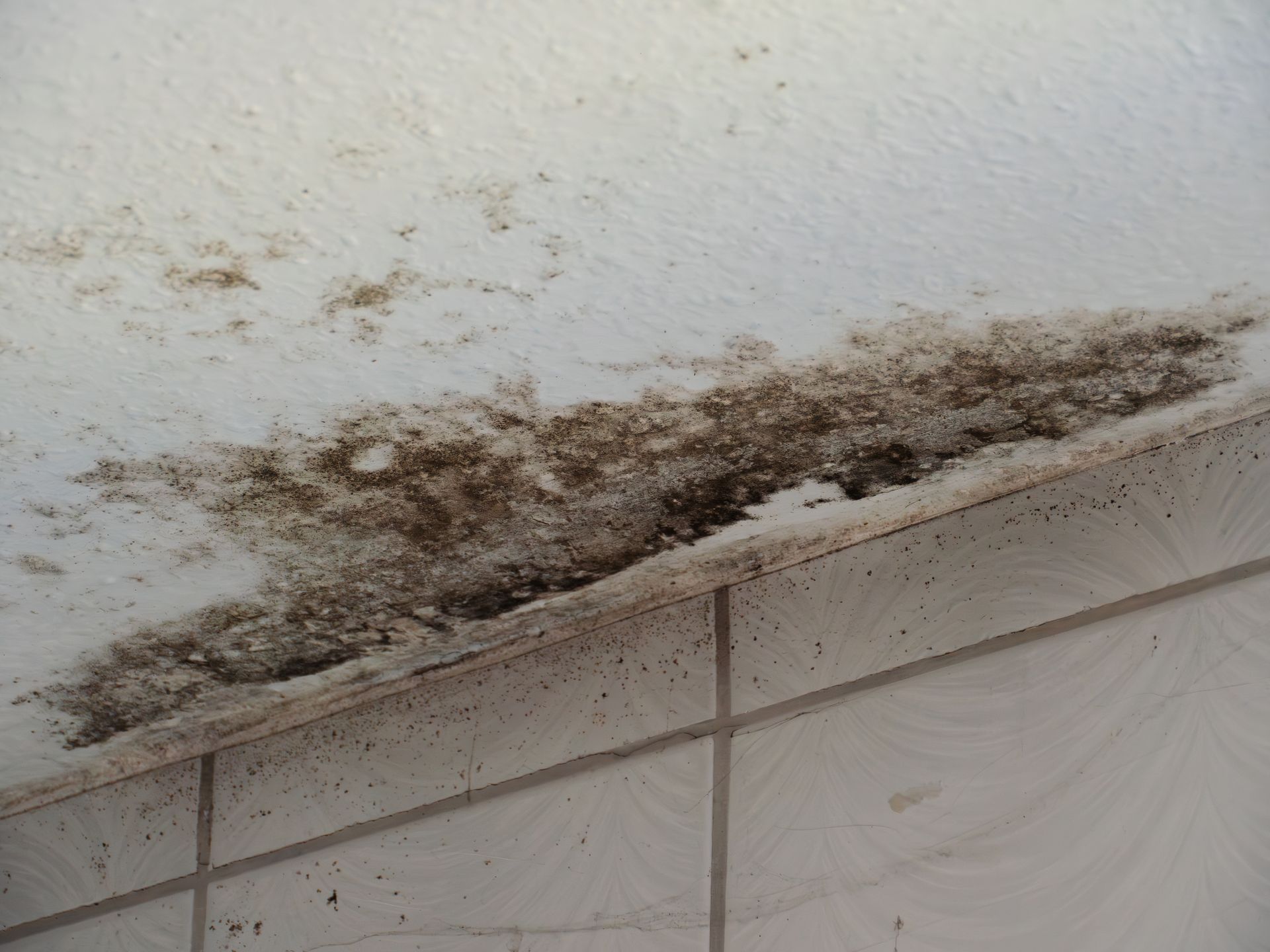 Mold growth on a white ceiling. The mold is dark brown and appears in patches.