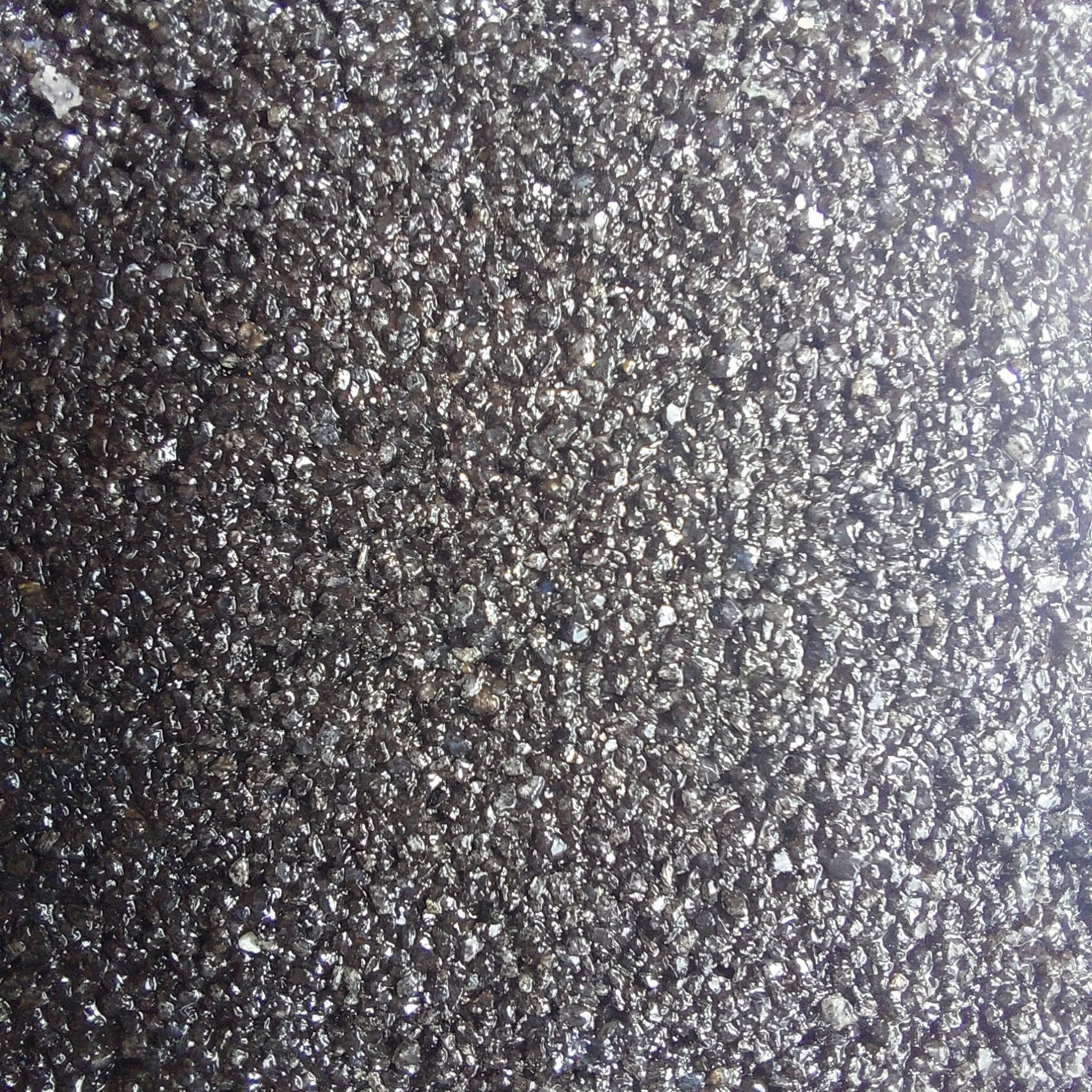 Close-up of a surface covered in small, dark, shiny granules.