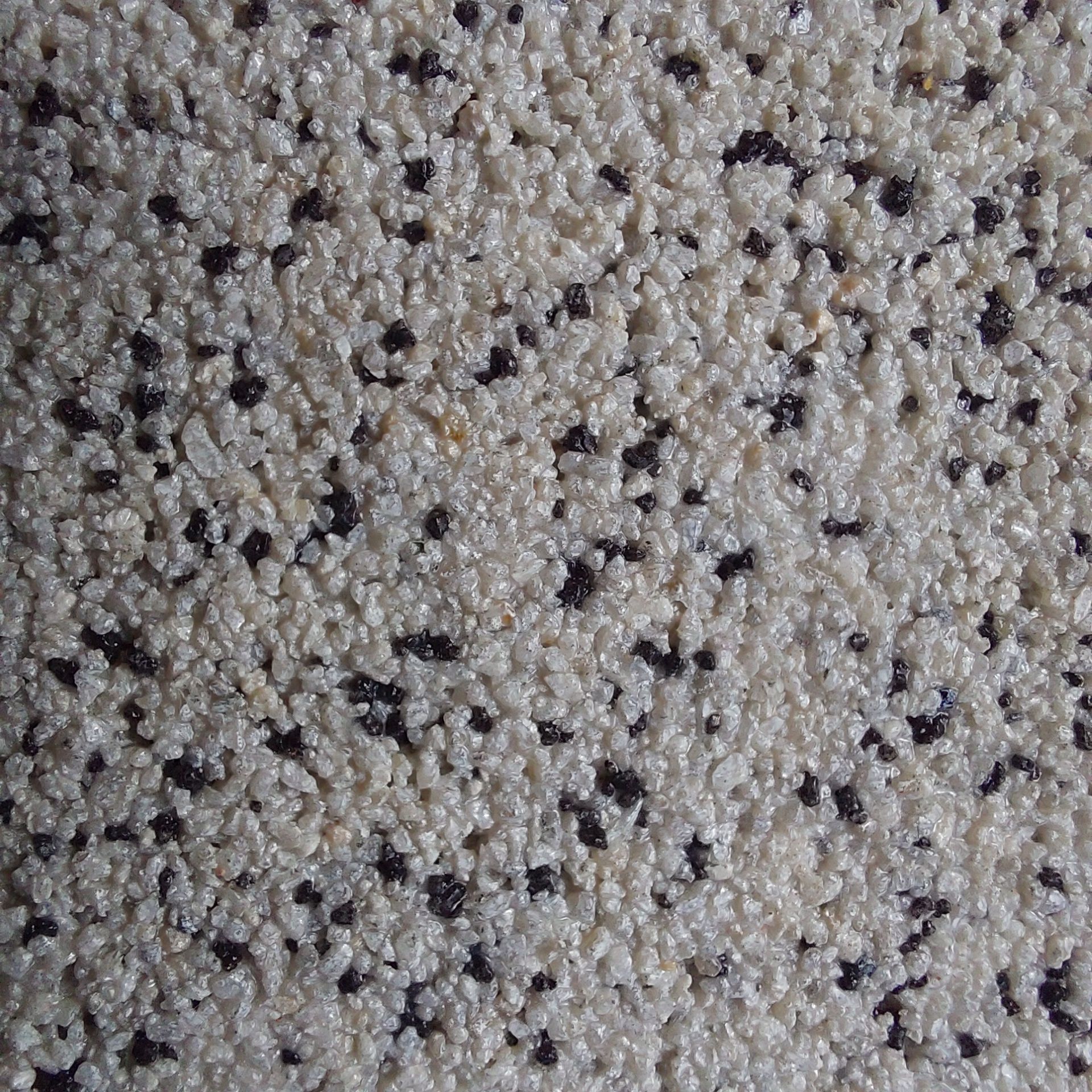 Close-up of a speckled, textured surface; light beige background with scattered dark brown flecks.