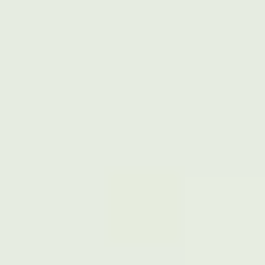 Light green background.