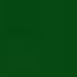 Solid dark green background.