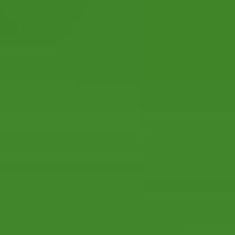 Solid green background.