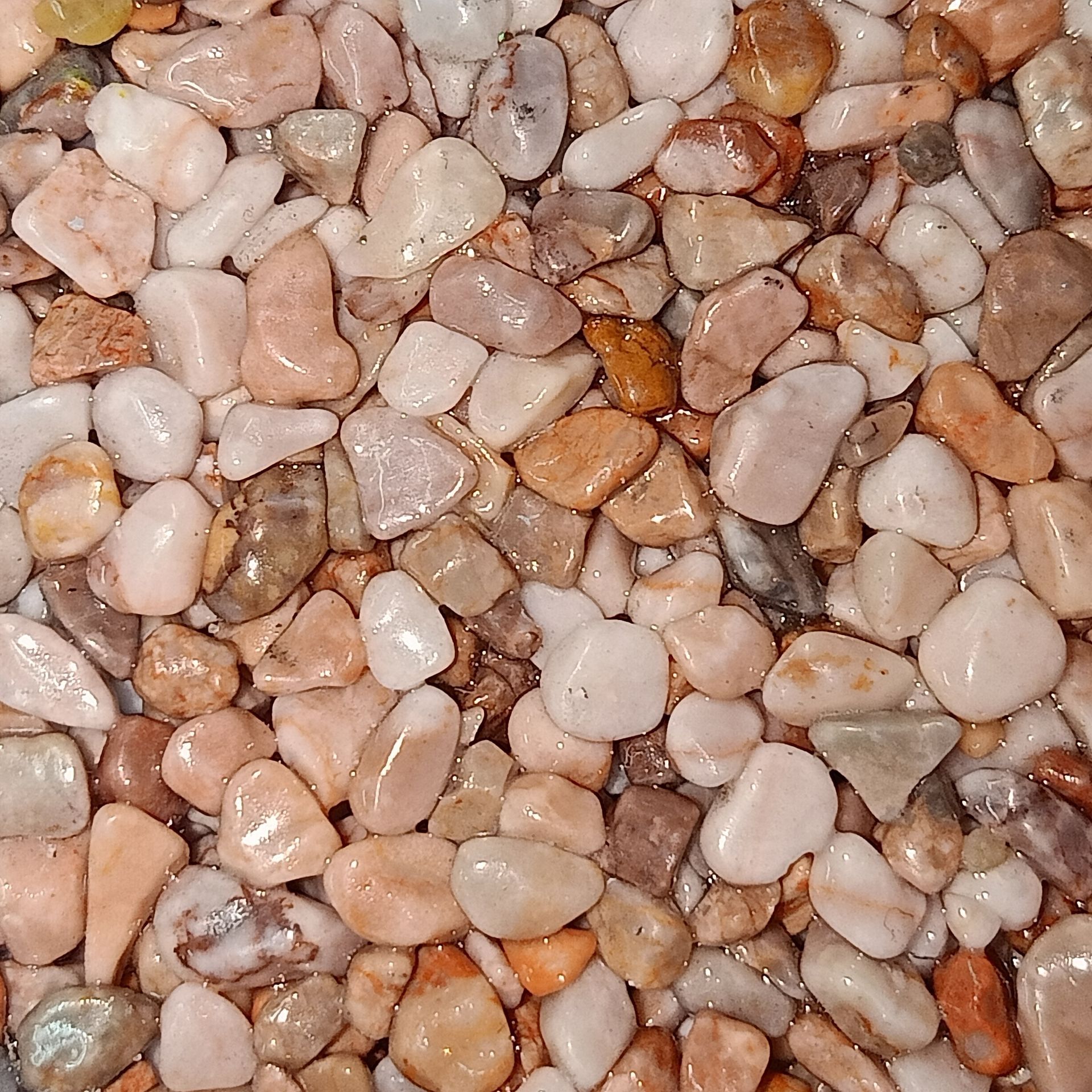 Close-up of small, smooth, multi-colored pebbles.
