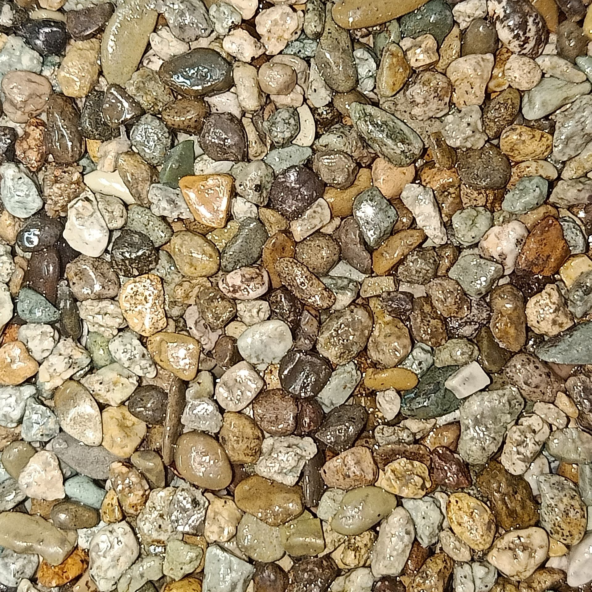 Close-up of small, smooth, multi-colored pebbles.