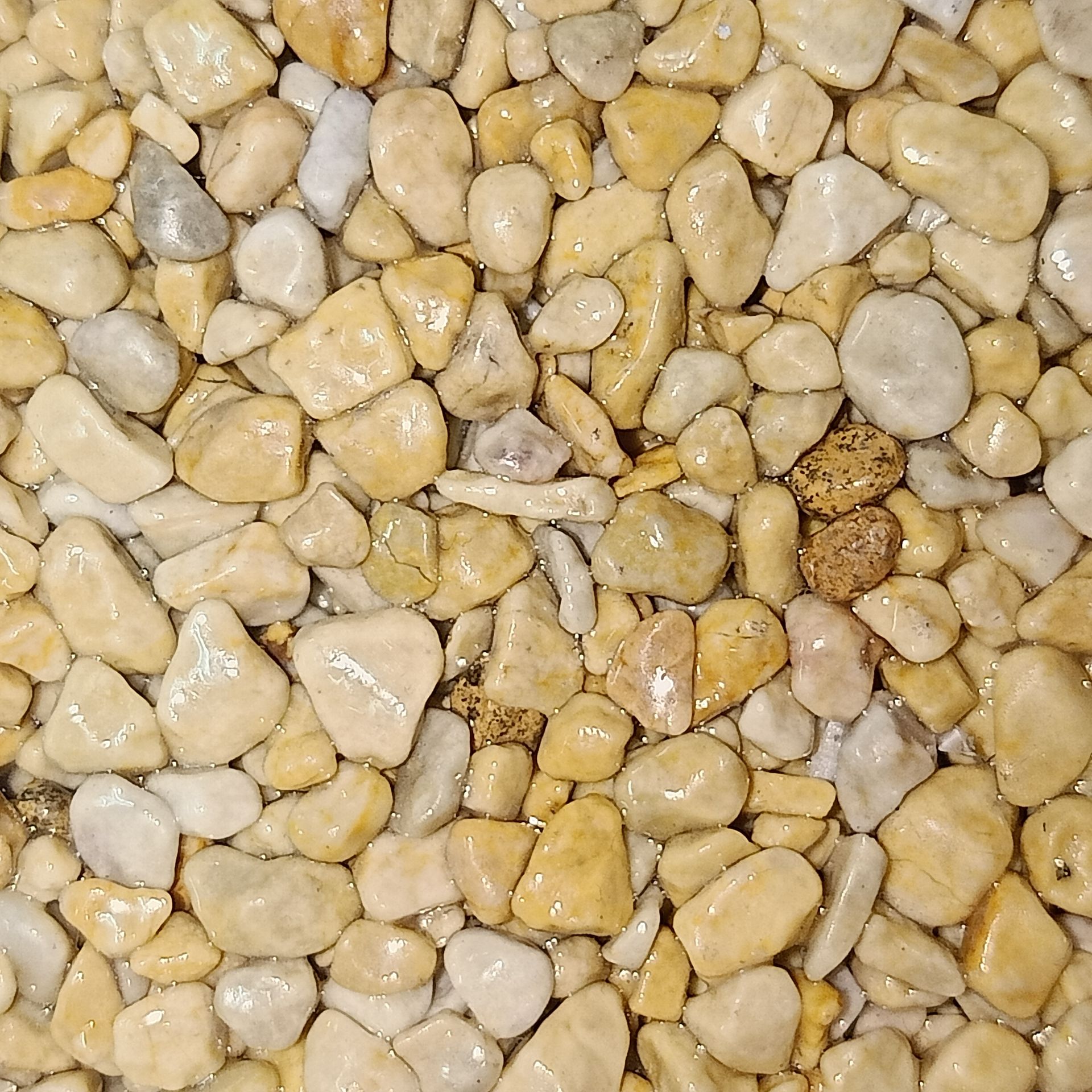Close-up of small, rounded beige and tan river rocks.