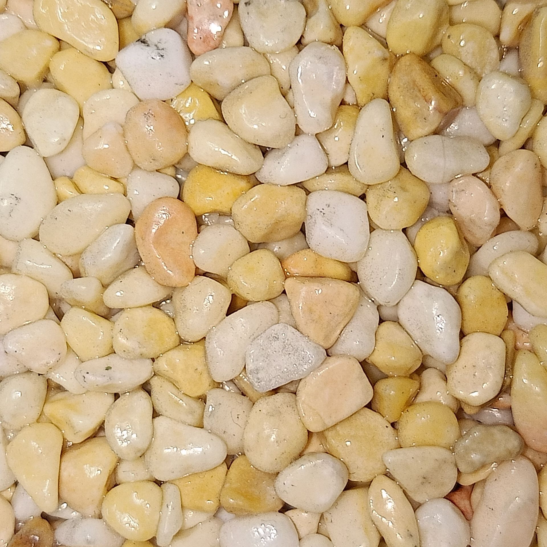 Close-up of small, smooth, beige and yellow pebbles.