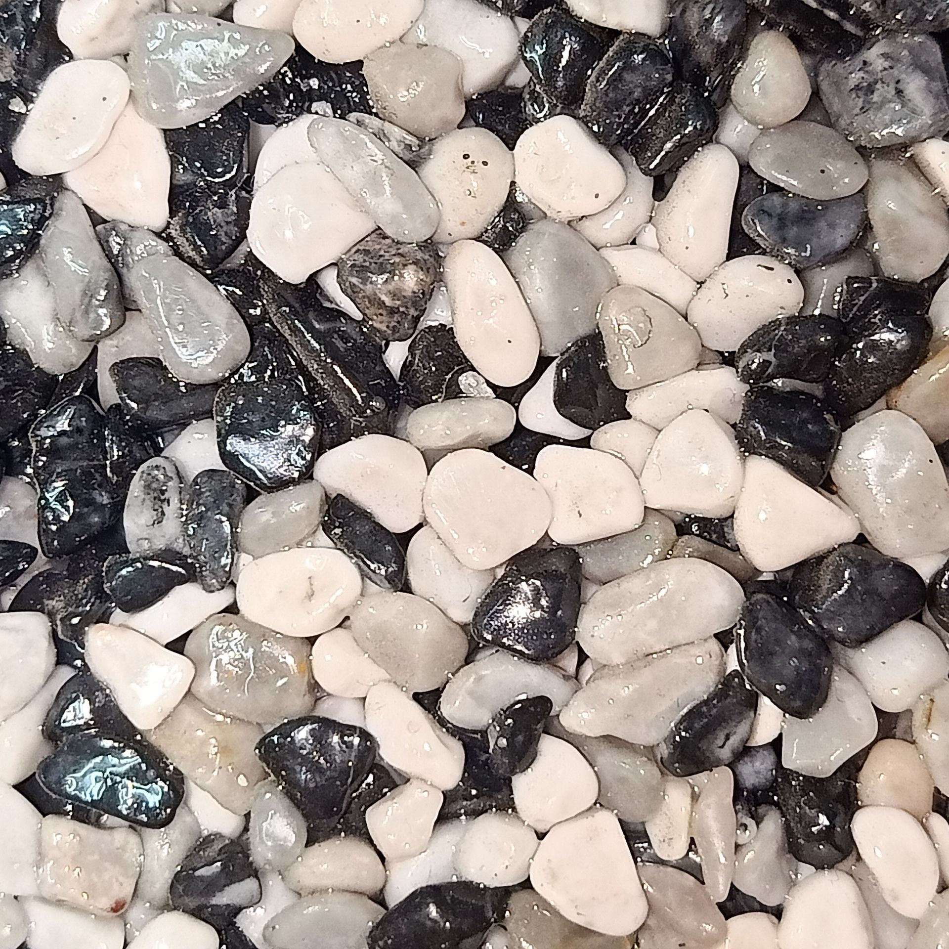 Close-up view of small, polished stones in black, white, and gray colors.