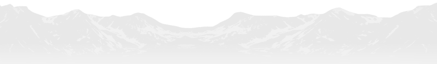 Snowy mountain peaks under a pale sky with a dark tree line in the foreground