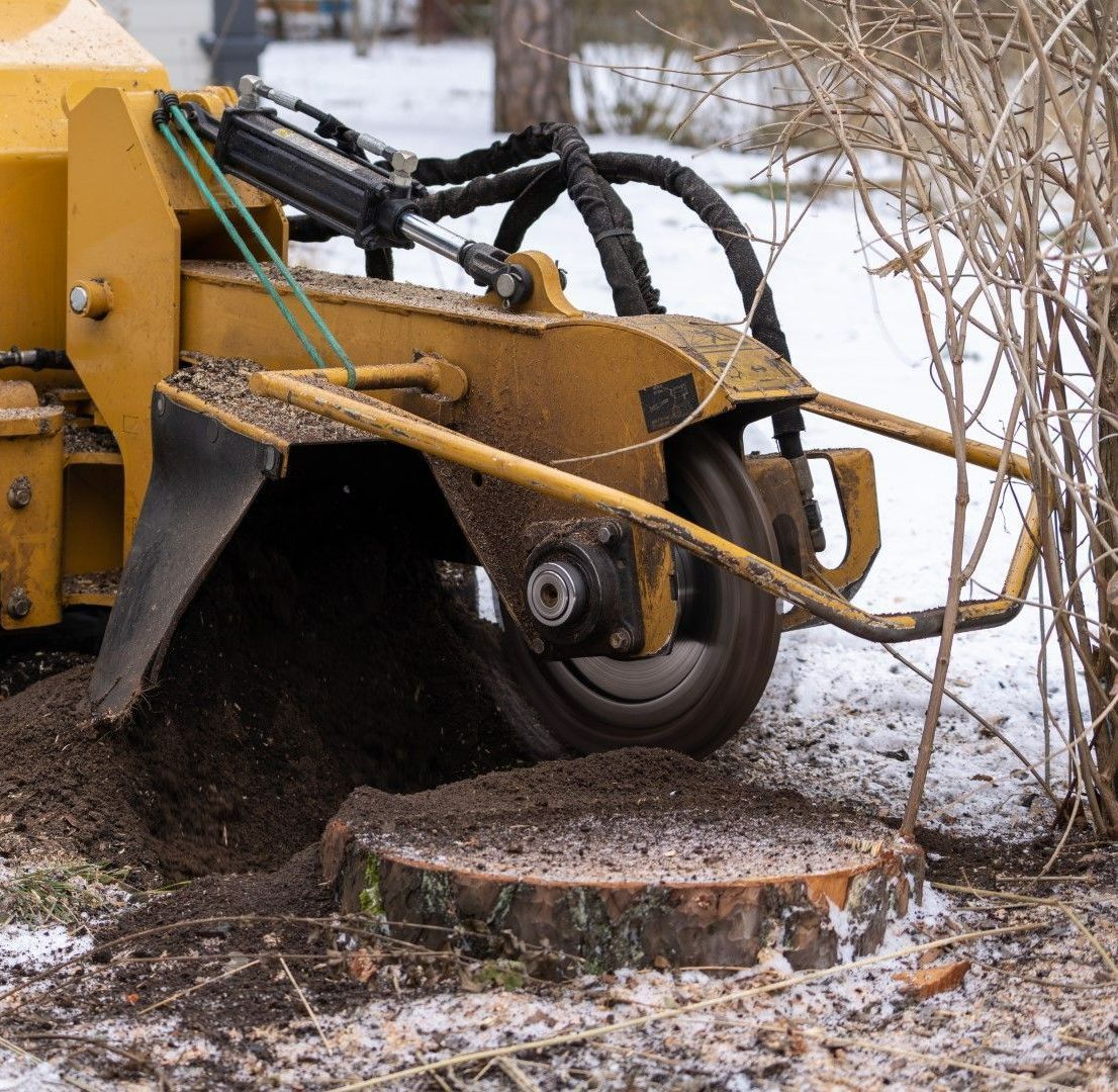 An image of Stump Grinding Services In Simsbury, CT