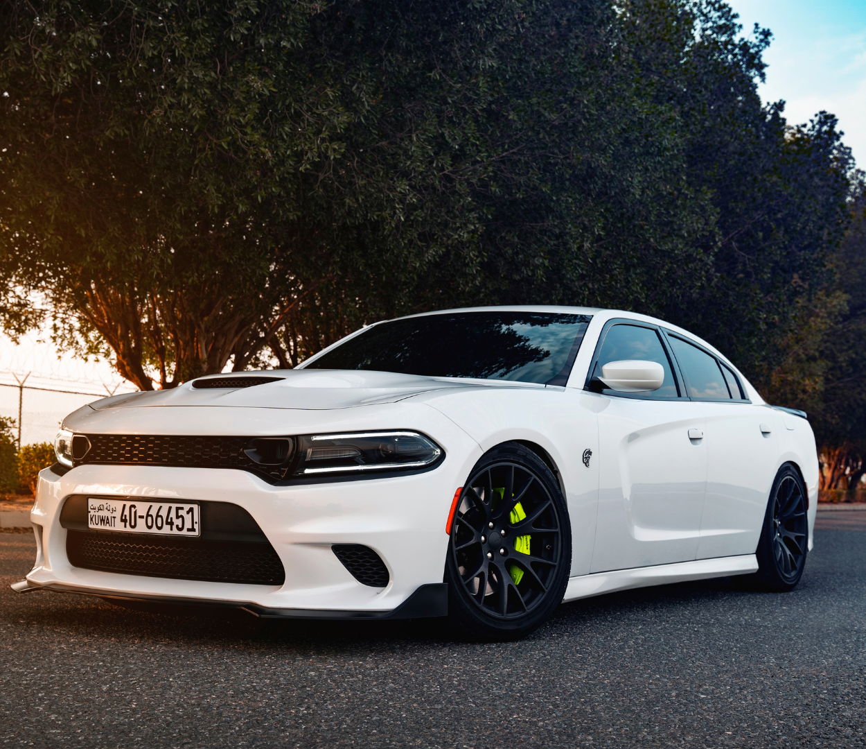 Paint Protection Film Services