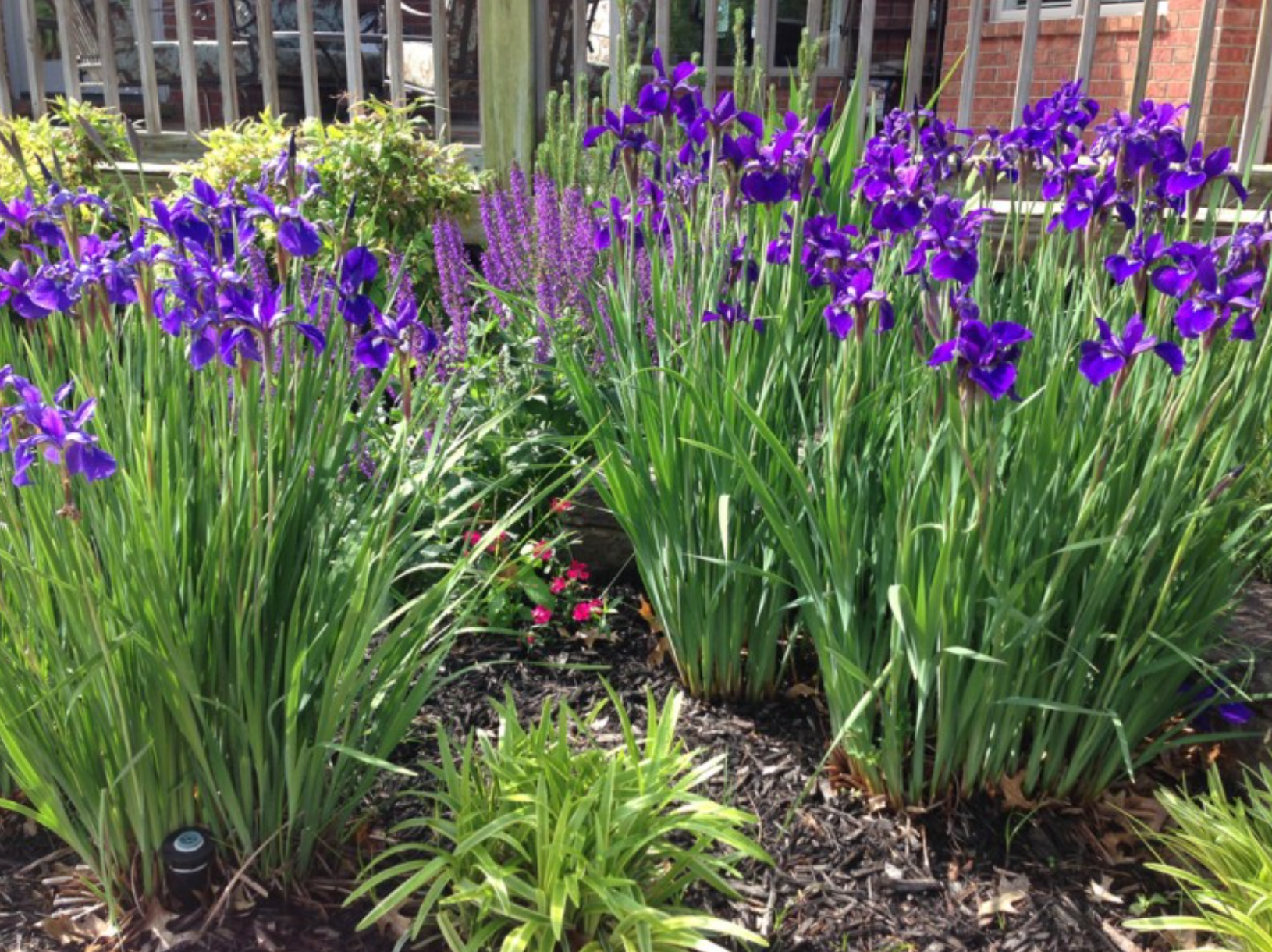 landscaping