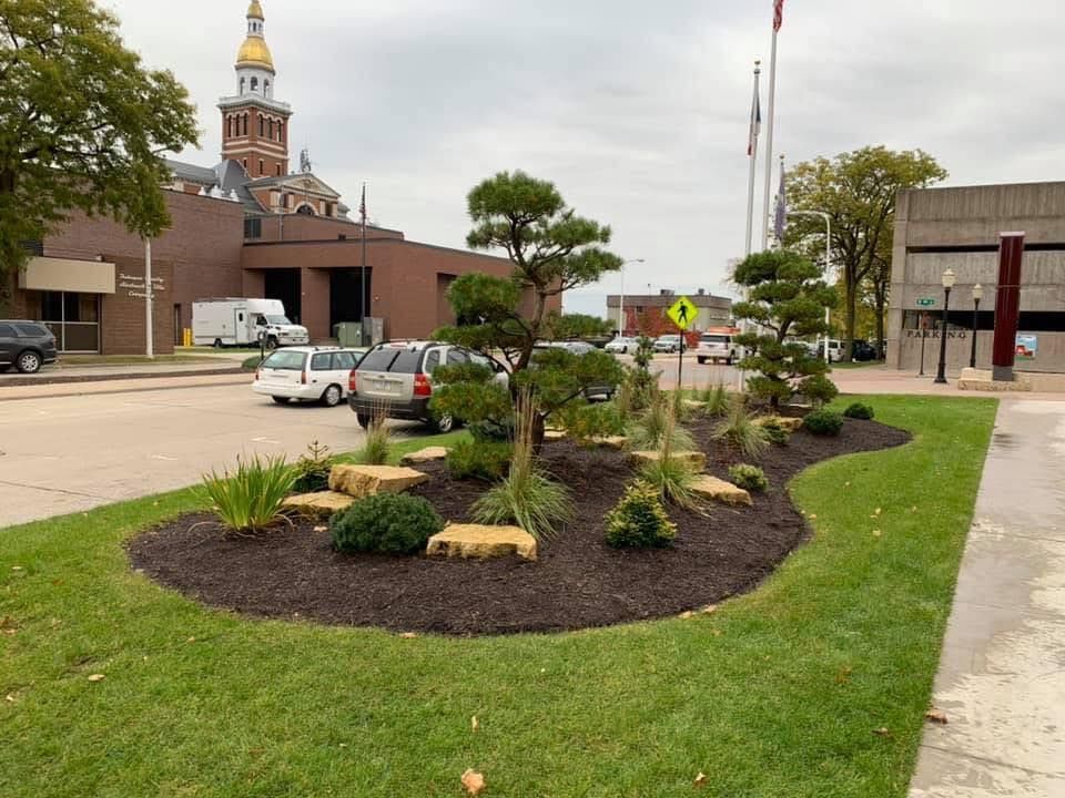 Landscaped traffic island with shrubs and a small tree near a street and brick building