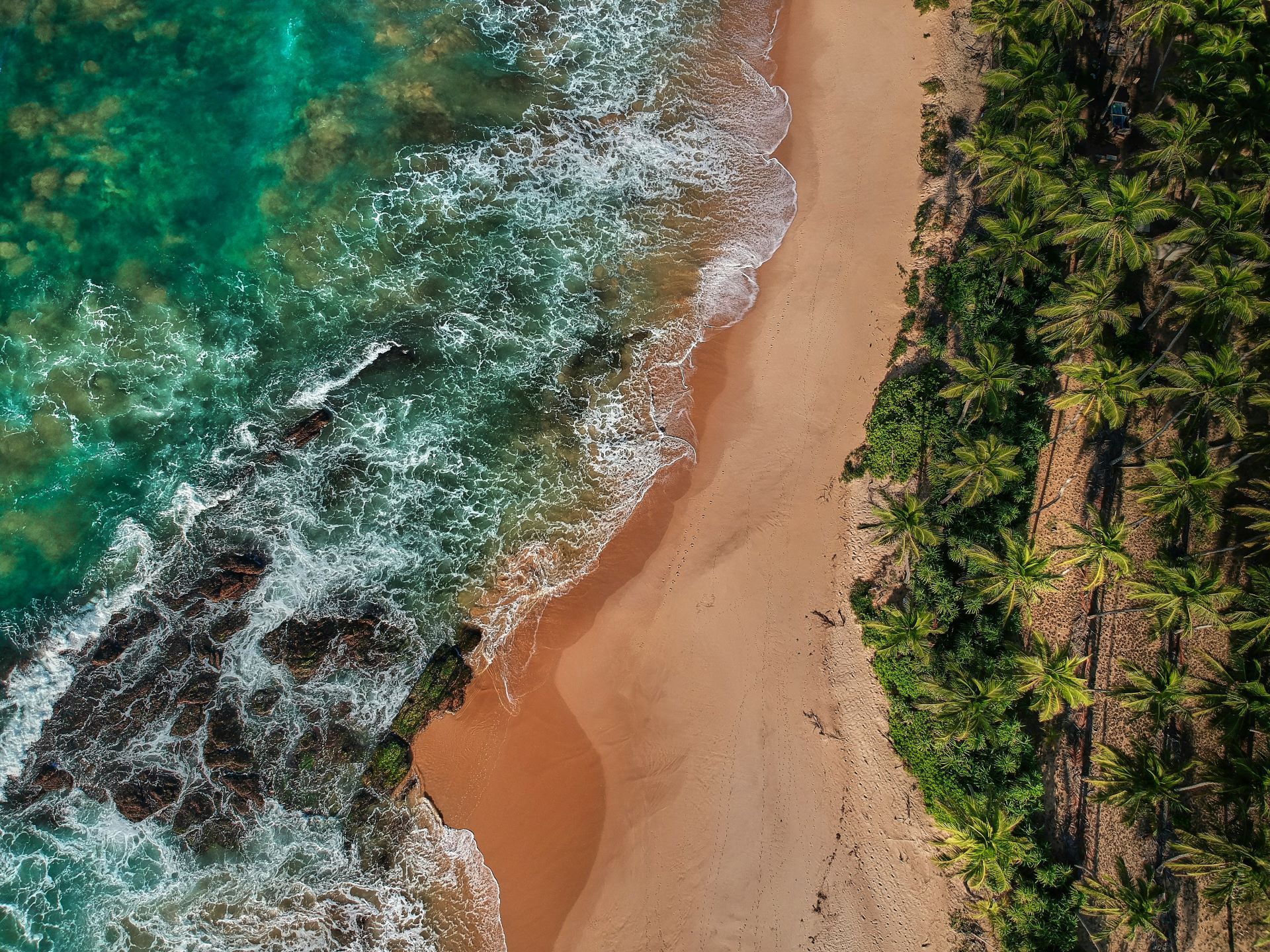 Aerial view of turquoise waves washing onto a sandy beach beside dense green palms