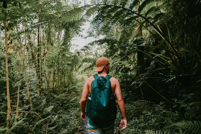 man-in-the-forest
