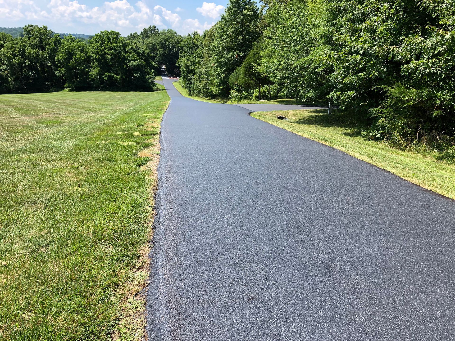Paved path curving through a sunny green park with grass and trees on both sides