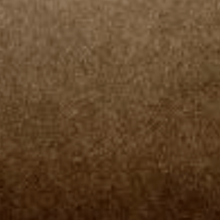Bronze Color