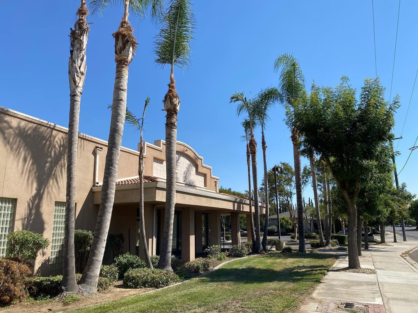 Palm-lined building exterior with tan stucco, blue sky, and sidewalk in front
