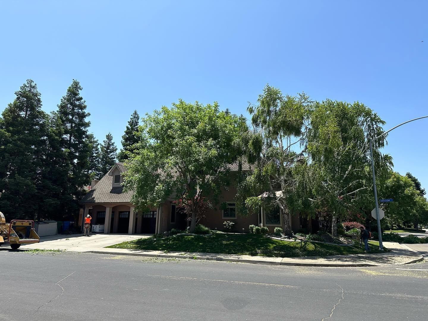 Street view of a brick house partly hidden by tall trees under a clear blue sky