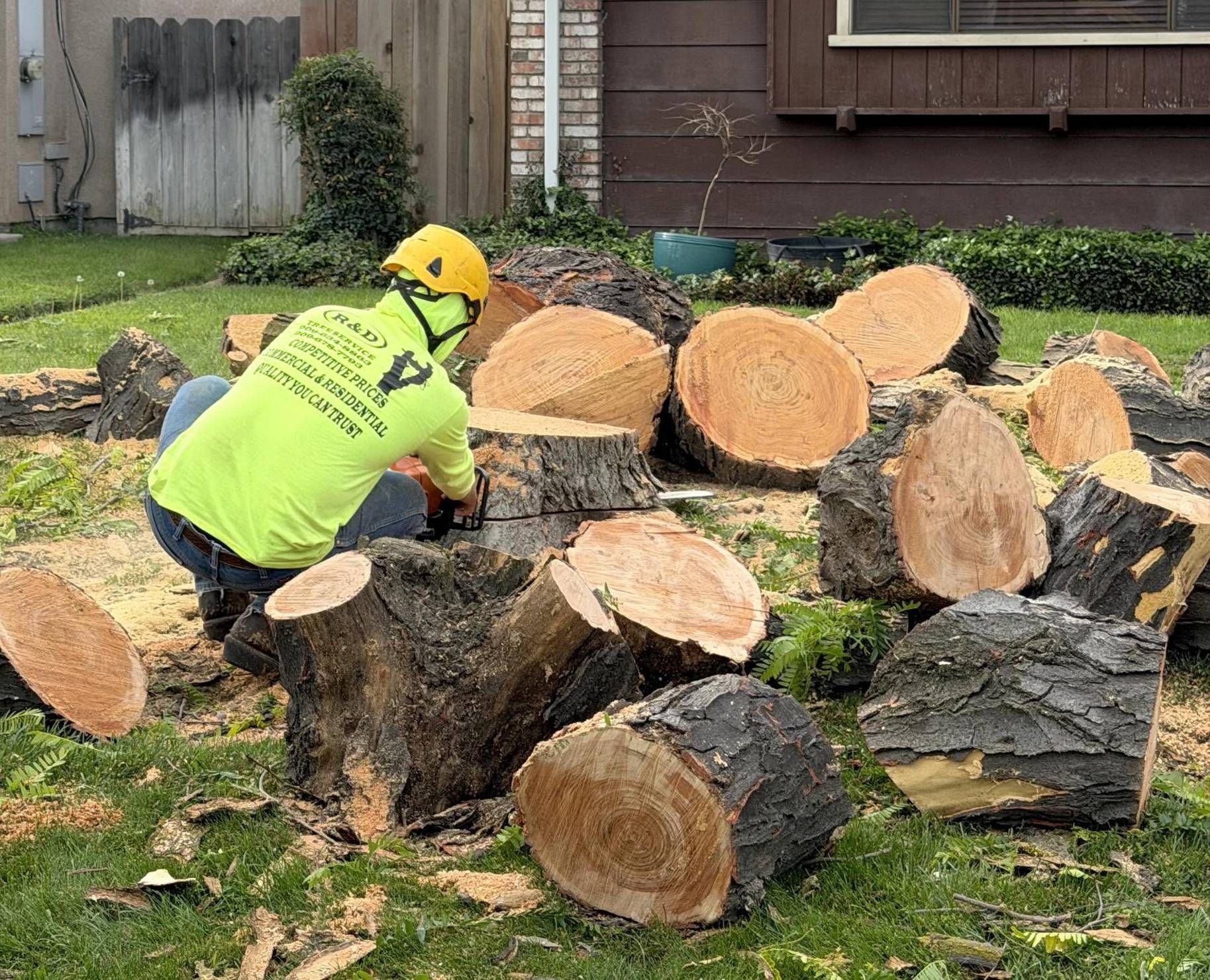Worker in neon yellow safety gear chainsaws large tree logs in a yard.