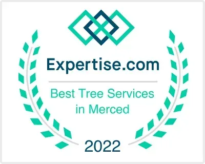 Expertise.com award badge with laurel wreath, “Best Tree Services in Merced” and “2022” in teal