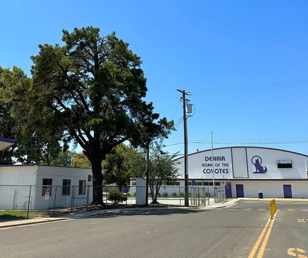 Street view of a white building with “Ballet of the Coyotes” mural beside a large tree under a blue sky