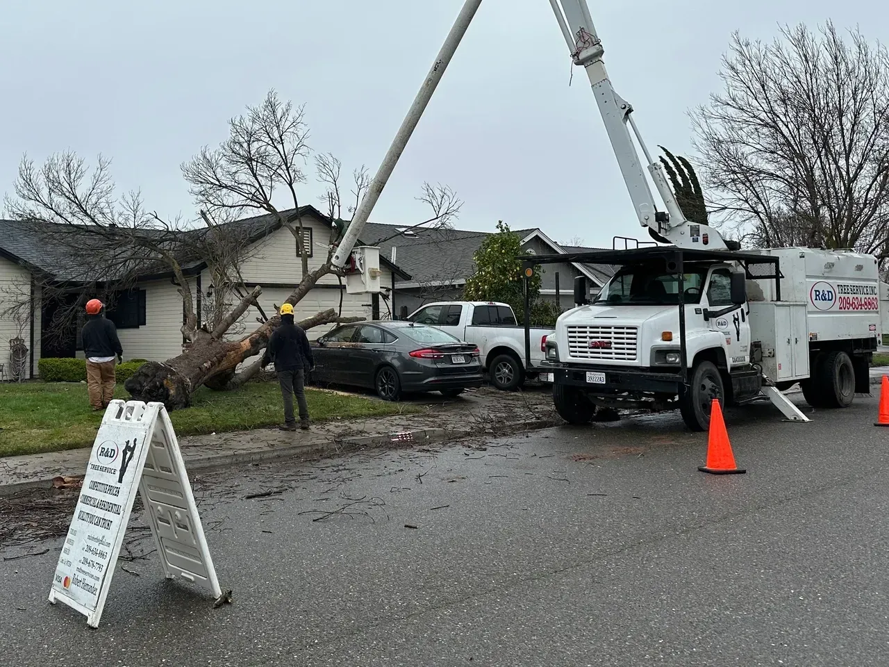 Utility crews lifting a fallen tree with trucks and a crane beside a damaged house on a wet street