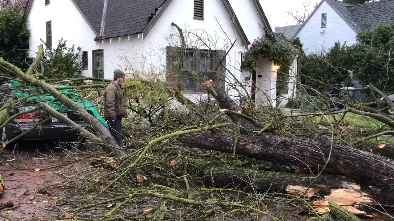 Downed tree and broken branches blocking a wet residential street near houses and a parked car
