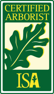 Certified Arborist ISA logo with green leaf on white background