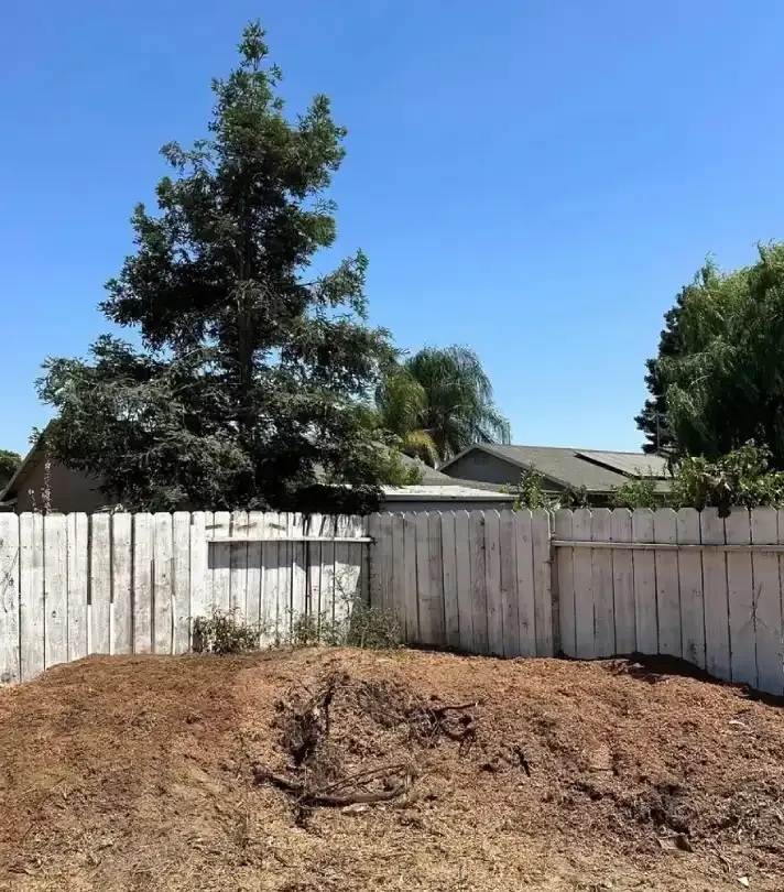 Backyard with a white wooden fence, dirt mound in foreground, and a tall tree against a blue sky.