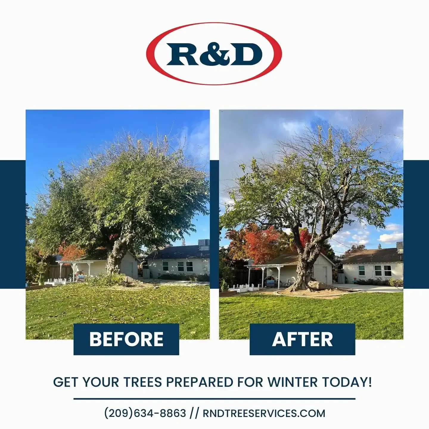R&D tree service ad showing before-and-after photos of a tree pruning, with winter prep message