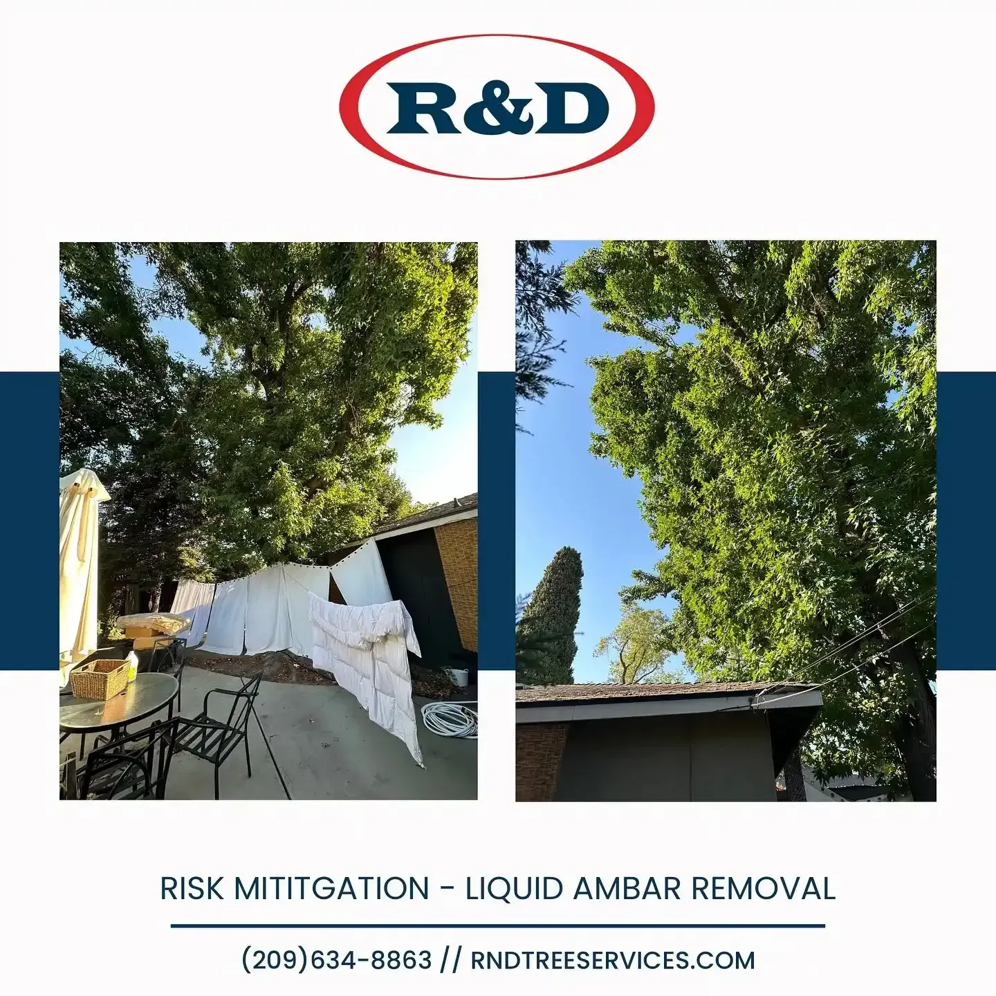 Before-and-after photos of tree trimming over a roof, with white tarps and patio furniture below.