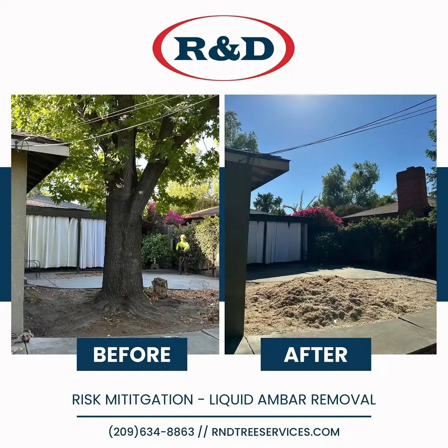 Before-and-after yard cleanup: large tree and debris removed, leaving a cleared area beside a fence.