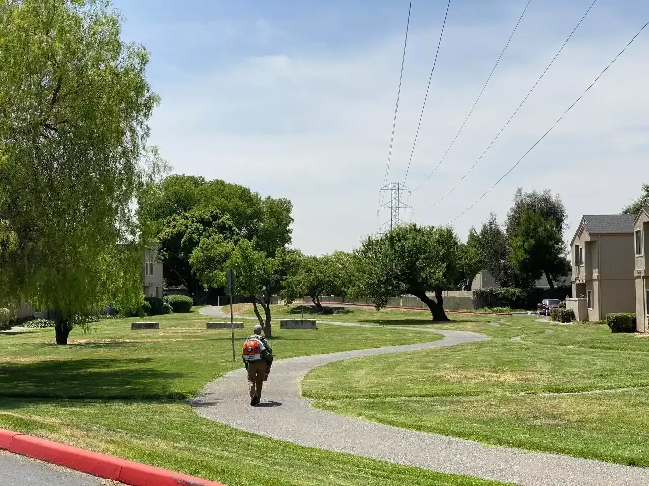 Person walking on a winding path through a grassy park near houses and power lines.
