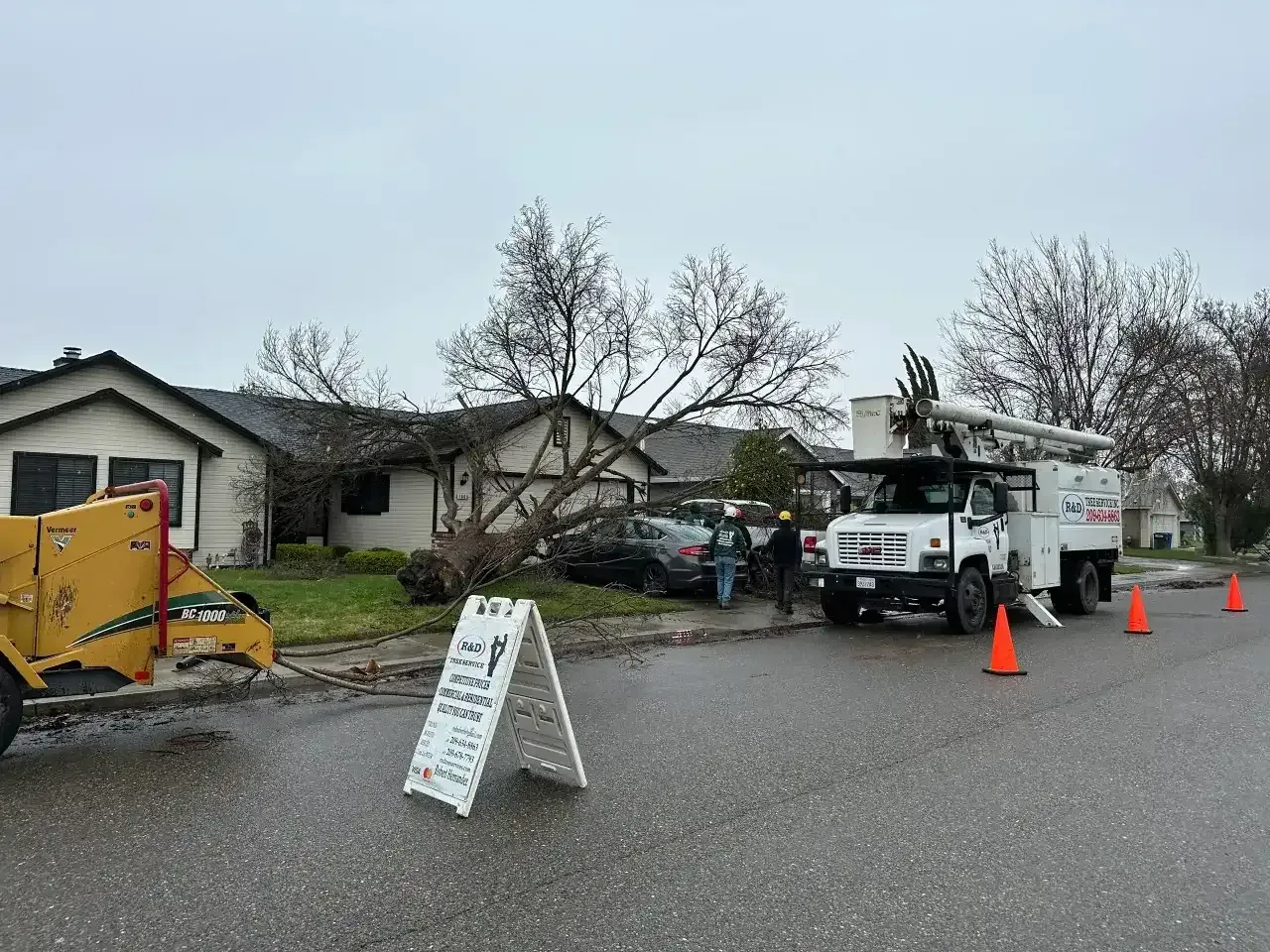 Wet residential street with utility trucks, orange cones, and a sidewalk sign in front of houses