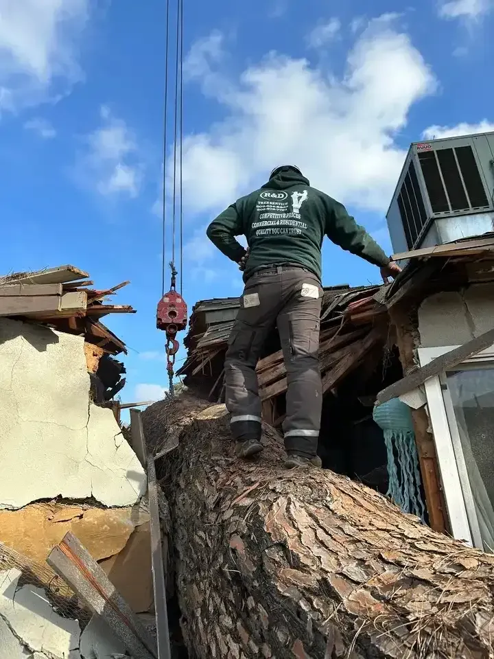 Worker on a large fallen tree branch on a damaged roof, under a blue sky