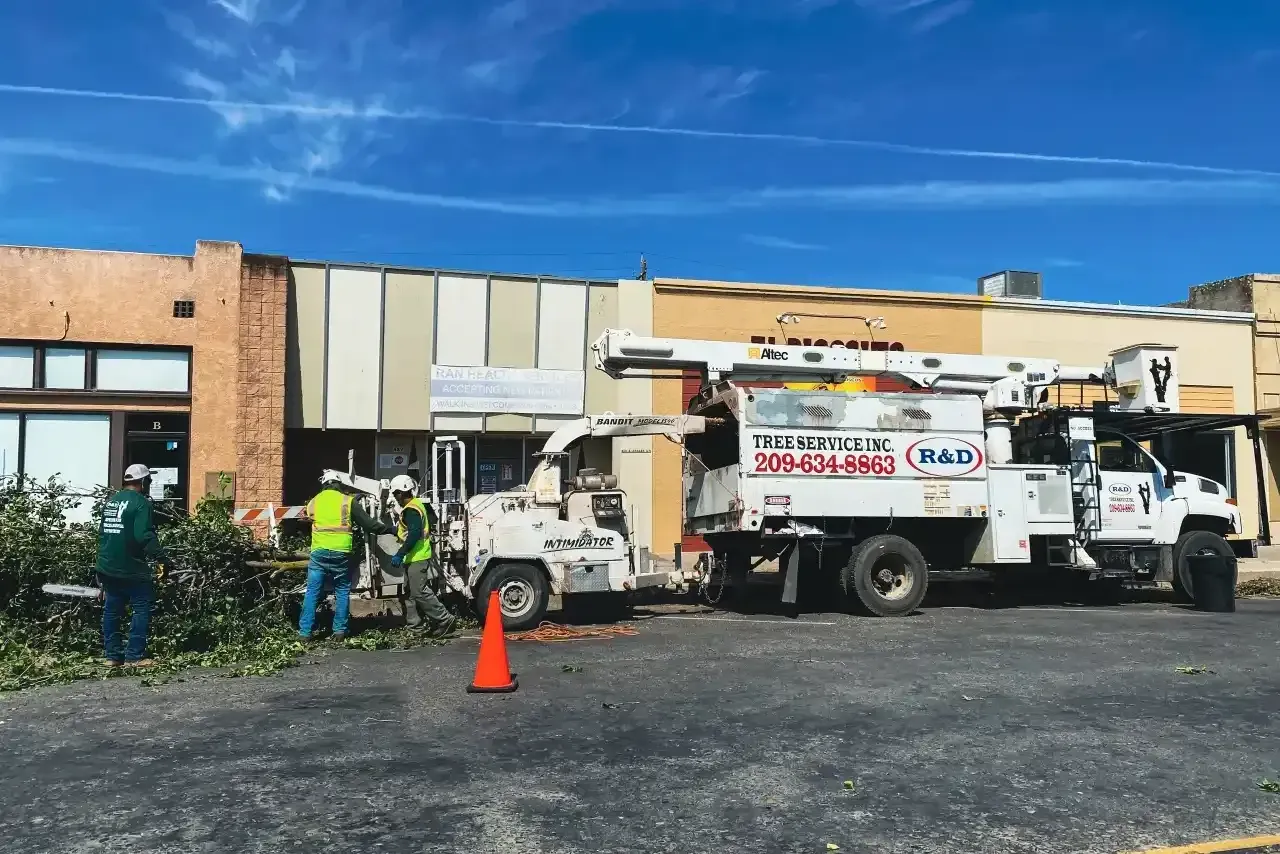 Utility workers and trucks outside a building, with an orange cone and a clear blue sky