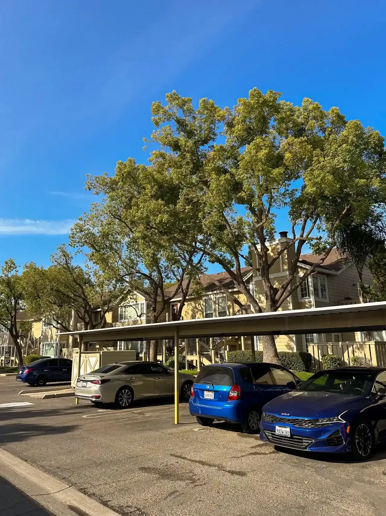 Apartment parking lot with parked cars under a covered carport and large trees on a sunny day