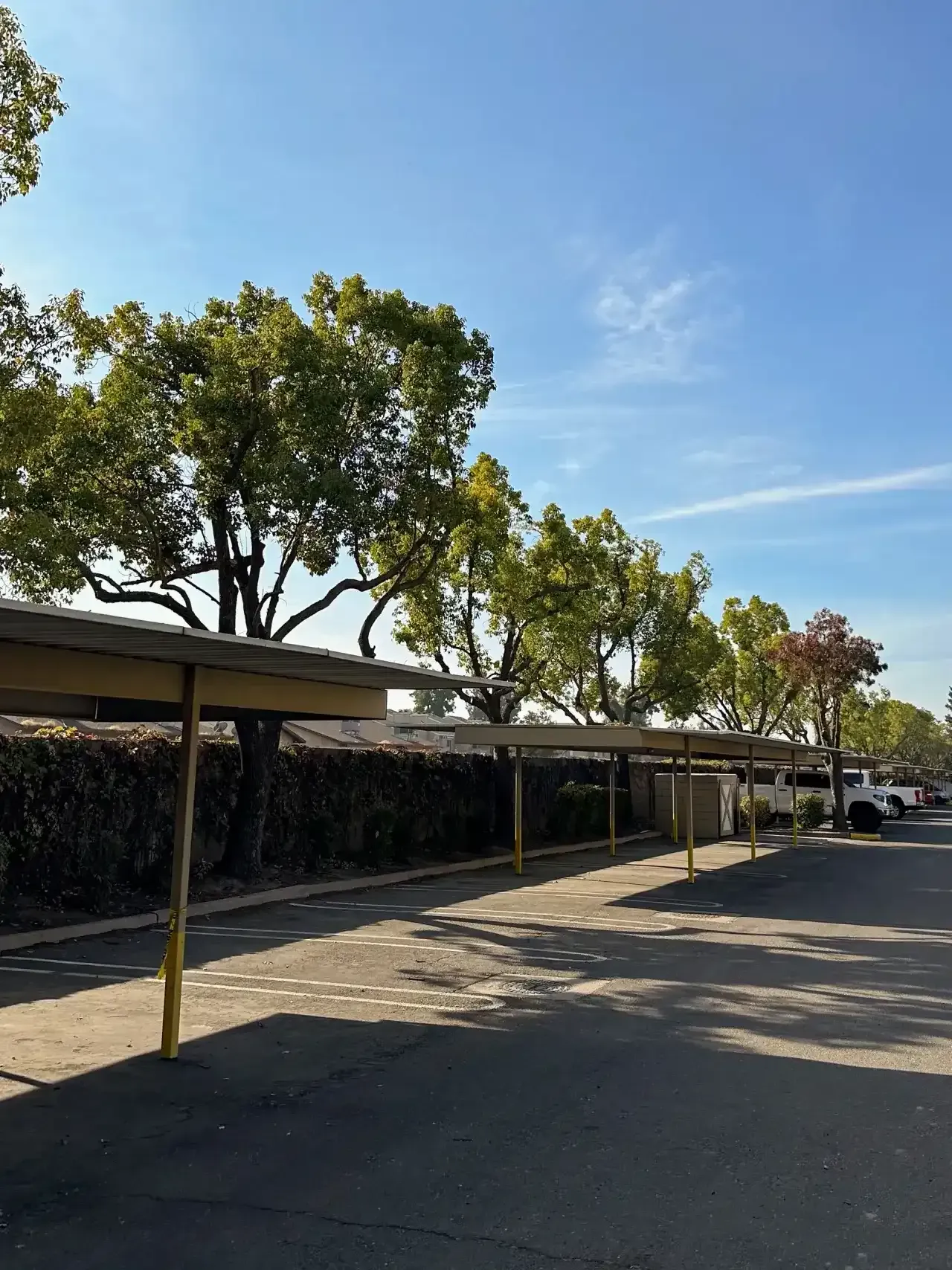 Covered parking lot with trees and a clear blue sky on a sunny day