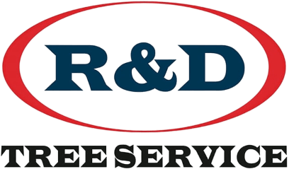 R&D Tree Service logo with blue text inside a red oval, on a white background