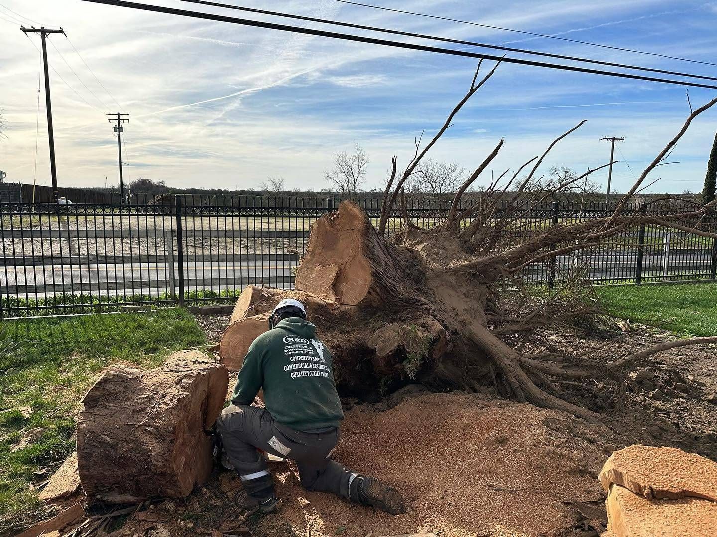Worker kneeling beside an uprooted tree, clearing debris in a muddy field under a cloudy sky
