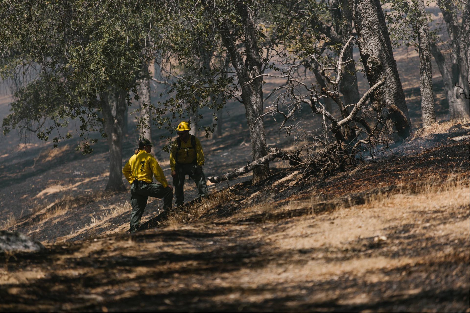Two firefighters in yellow gear walk through a smoky, charred forest hillside.